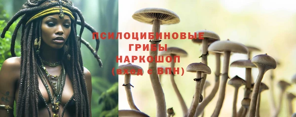 винт Баксан