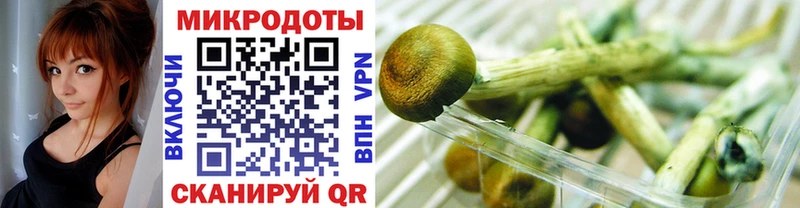 Галлюциногенные грибы Cubensis  площадка состав  Иноземцево 